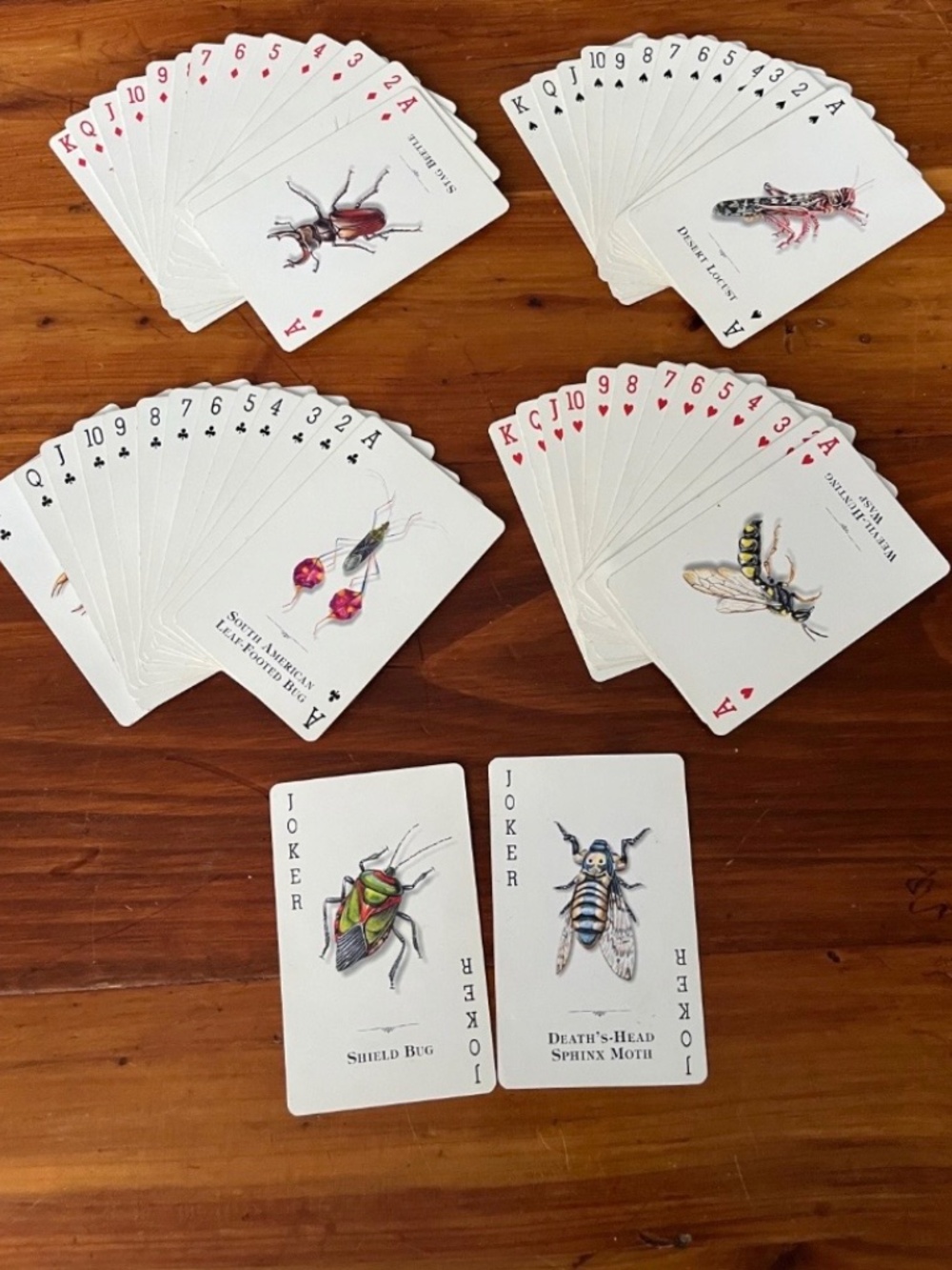 Y2K Playing Cards with Insect Designs - Picture 2 of 3
